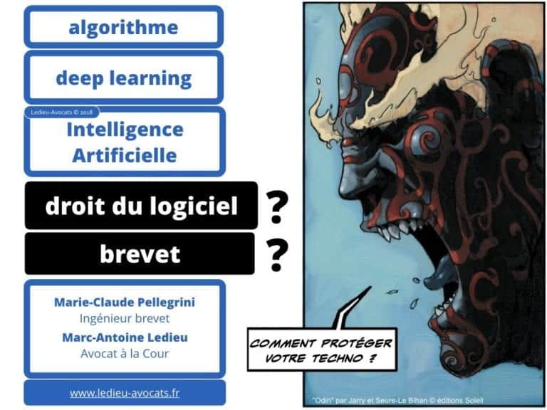 235-RGPD-GDPR-e-Privacy-SYNTHESE-audit-contrat-Constellation-Avocats-©Ledieu-Avocats.022-1-1024x768
