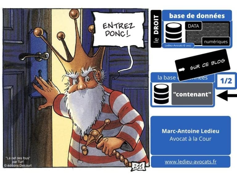 235-RGPD-GDPR-e-Privacy-SYNTHESE-audit-contrat-Constellation-Avocats-©Ledieu-Avocats.028-1-1024x768