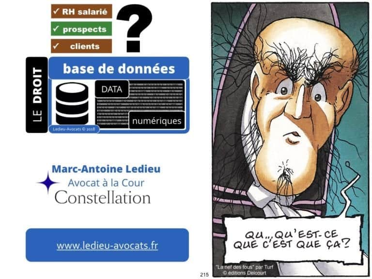 235-RGPD-GDPR-e-Privacy-SYNTHESE-audit-contrat-Constellation-Avocats-©Ledieu-Avocats.215-1024x768