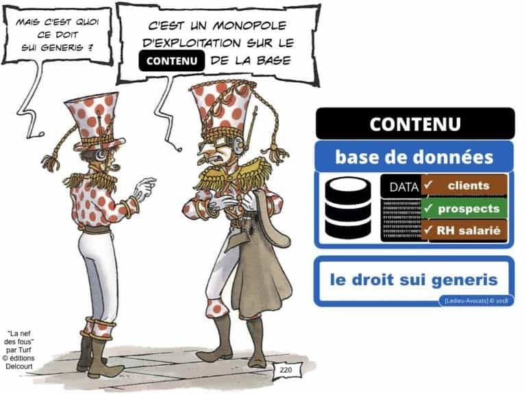 235-RGPD-GDPR-e-Privacy-SYNTHESE-audit-contrat-Constellation-Avocats-©Ledieu-Avocats.220-1024x768