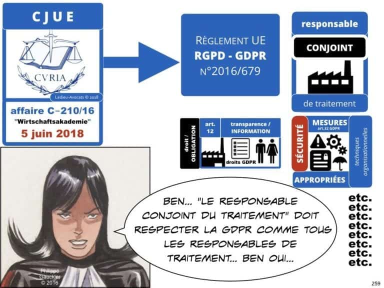 235-RGPD-GDPR-e-Privacy-SYNTHESE-audit-contrat-Constellation-Avocats-©Ledieu-Avocats.259-1024x768