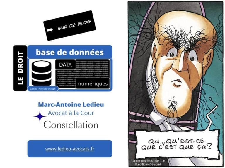 235-RGPD-GDPR-e-Privacy-SYNTHESE-audit-contrat-Constellation-Avocats-©Ledieu-Avocats.468-1024x768
