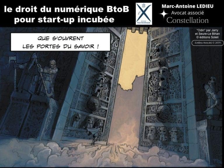 238-le-droit-du-numerique-BtoB-pour-start-up-incubee-a-Polytechnique-X-©Ledieu-Avocats-Constellation.001-1024x768
