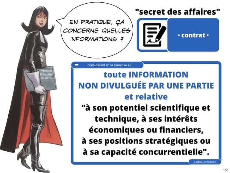 238-le-droit-du-numerique-BtoB-pour-start-up-incubee-a-Polytechnique-X-©Ledieu-Avocats-Constellation.188-1024x768