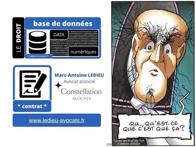 238-le-droit-du-numerique-BtoB-pour-start-up-incubee-a-Polytechnique-X-©Ledieu-Avocats-Constellation.218-1024x768
