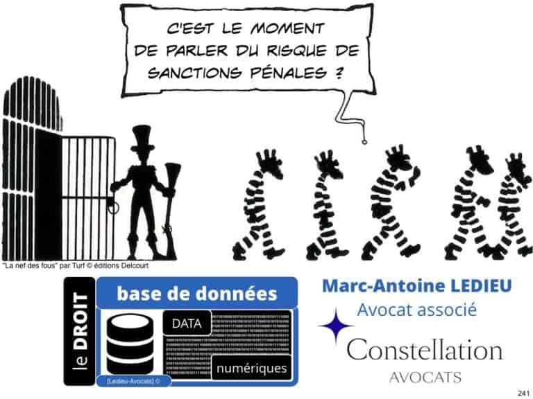 238-le-droit-du-numerique-BtoB-pour-start-up-incubee-a-Polytechnique-X-©Ledieu-Avocats-Constellation.241-1024x768