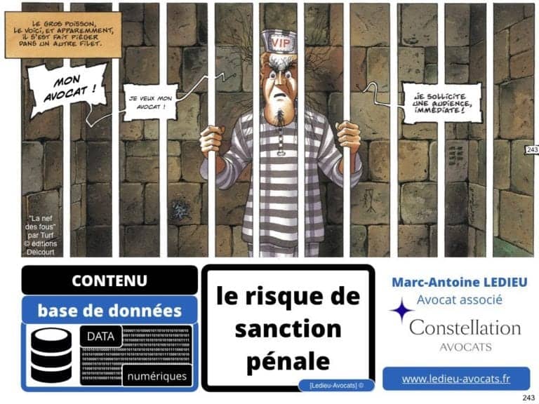 238-le-droit-du-numerique-BtoB-pour-start-up-incubee-a-Polytechnique-X-©Ledieu-Avocats-Constellation.243-1024x768