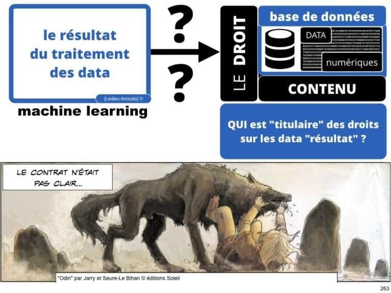 238-le-droit-du-numerique-BtoB-pour-start-up-incubee-a-Polytechnique-X-©Ledieu-Avocats-Constellation.263-1024x768
