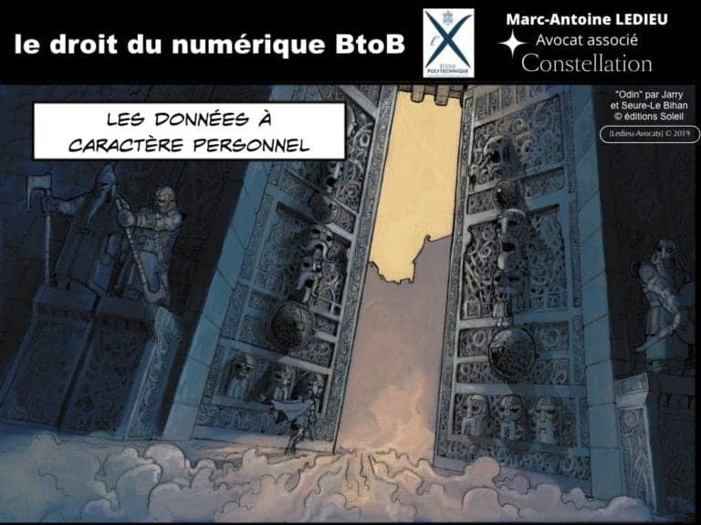 238-le-droit-du-numerique-BtoB-pour-start-up-incubee-a-Polytechnique-X-©Ledieu-Avocats-Constellation.267-1024x768