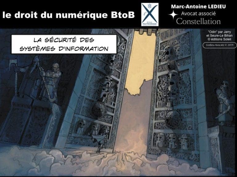 238-le-droit-du-numerique-BtoB-pour-start-up-incubee-a-Polytechnique-X-©Ledieu-Avocats-Constellation.375-1024x768