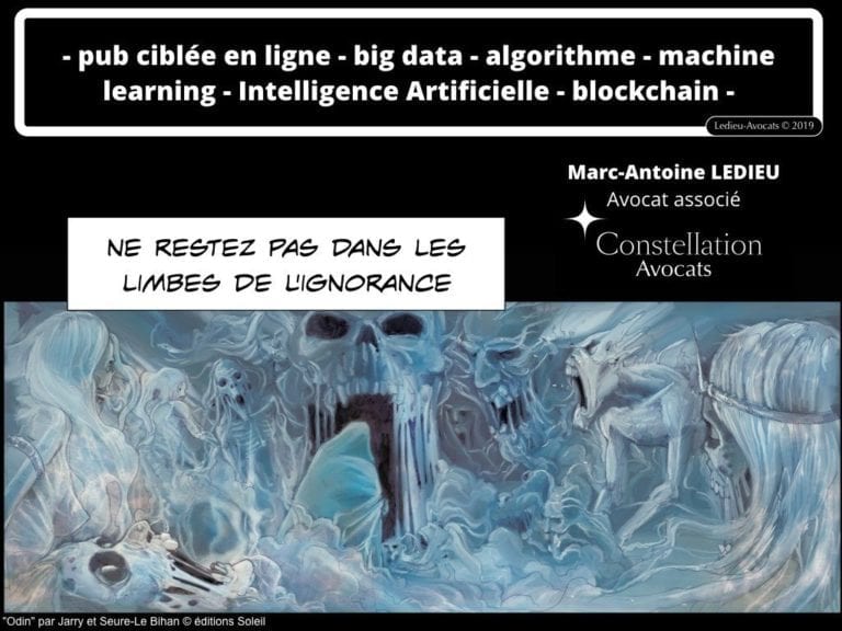 244-PUB-ciblée-PRESSE-en-ligne-RGPD-GDPR-e-Privacy-jurisprudence-2018-2019-CJUE-France-Constelation-Avocats©Ledieu-Avocats.007-1024x768