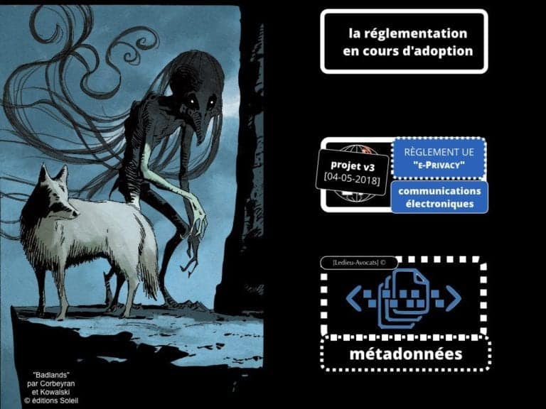 244-PUB-ciblée-PRESSE-en-ligne-RGPD-GDPR-e-Privacy-jurisprudence-2018-2019-CJUE-France-Constelation-Avocats©Ledieu-Avocats.062-1024x768