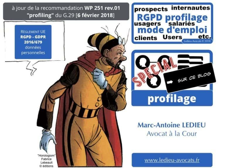 244-PUB-ciblée-PRESSE-en-ligne-RGPD-GDPR-e-Privacy-jurisprudence-2018-2019-CJUE-France-Constelation-Avocats©Ledieu-Avocats.077-1024x768