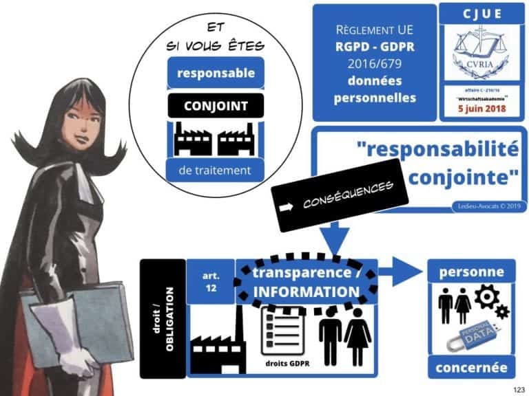 244-PUB-ciblée-PRESSE-en-ligne-RGPD-GDPR-e-Privacy-jurisprudence-2018-2019-CJUE-France-Constelation-Avocats©Ledieu-Avocats.123-1024x768