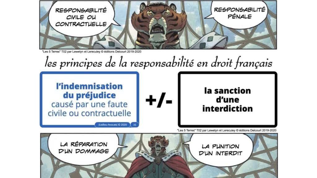 296-nomadisme-et-CYBER-SECURITE-webinar-TheGreenBow-Cybersecyou-Constellation.law-169°-©-Ledieu-Avocats-01-07-2020.035-1280x720