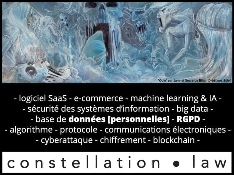 303-RGPD-deliberation-CNIL-SPARTOO-du-28-juillet-2020-n°SAN-2020-003-©Ledieu-Avocats-17-08-2020.004
