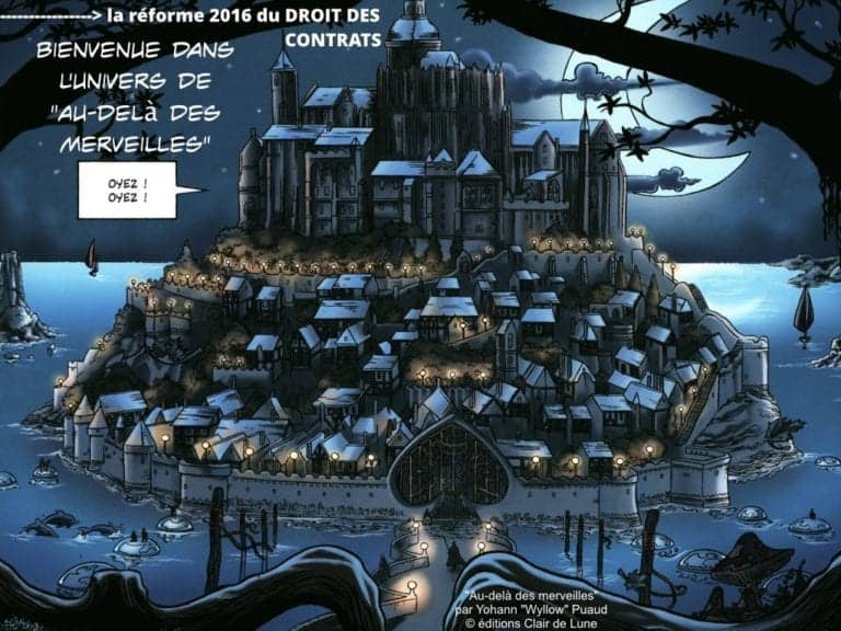 qui-est-propriétaire-dun-logiciel-la-titularité-des-droits-dauteur-Constellation-Avocats©Ledieu-Avocats-.078-1024x768