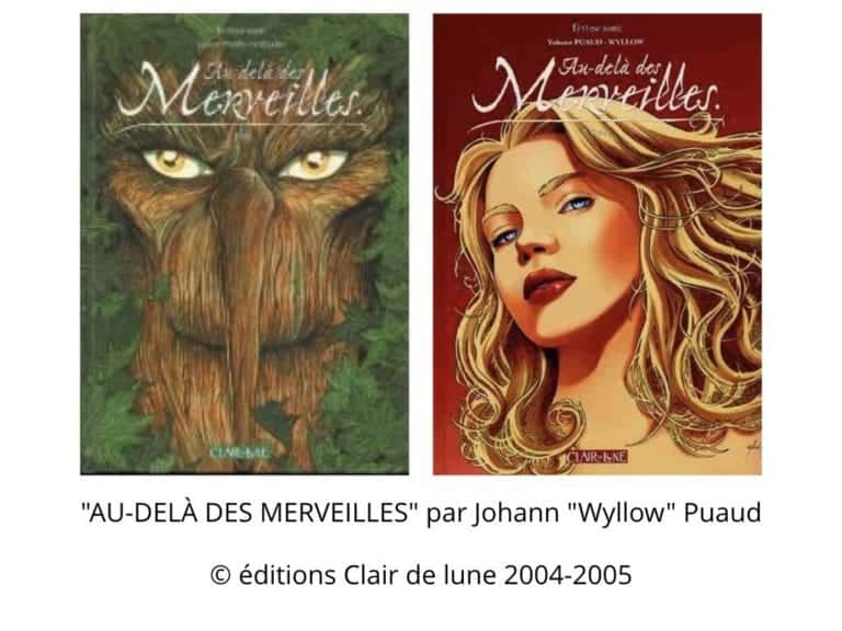 qui-est-propriétaire-dun-logiciel-la-titularité-des-droits-dauteur-Constellation-Avocats©Ledieu-Avocats-.080-1024x768